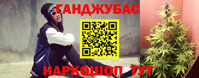прущие грибы Кандалакша