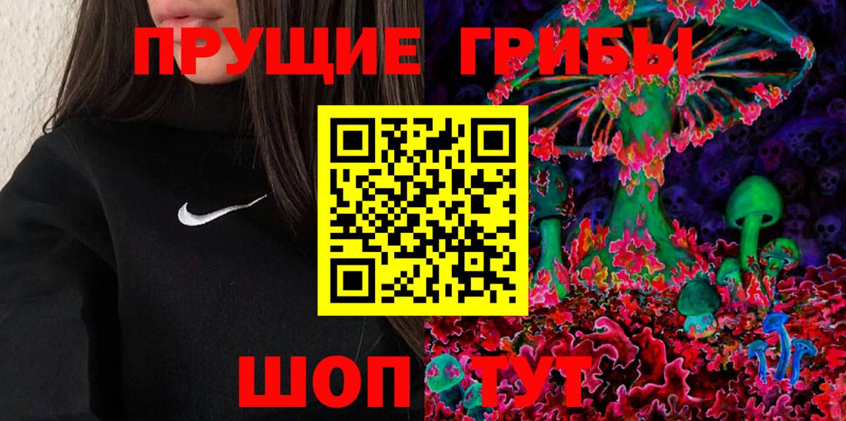 Псилоцибиновые грибы мицелий Буйнакск